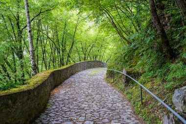 Chiusa yakınlarındaki Sabiona Manastırı'na pastoral yol, Bolzano Eyaleti, Trentino Alto Adige, İtalya.