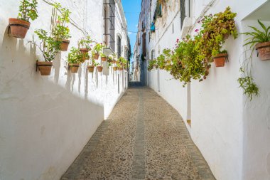 Arcos de la Frontera'da doğal yaz manzarası, Cadiz eyaleti, Endülüs, İspanya.