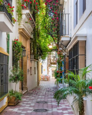 Marbella eski şehir pitoresk ve dar bir sokak, Malaga eyaleti, İspanya.