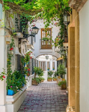 Marbella eski şehir pitoresk ve dar bir sokak, Malaga eyaleti, İspanya.