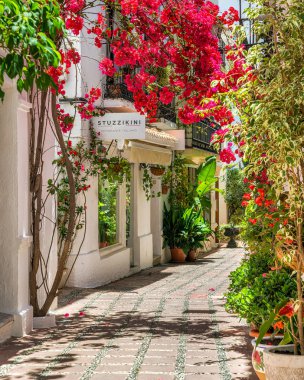 Marbella eski şehir pitoresk ve dar bir sokak, Malaga eyaleti, İspanya.