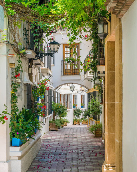A picturesque and narrow street in Marbella old town, province of Malaga, Spain.