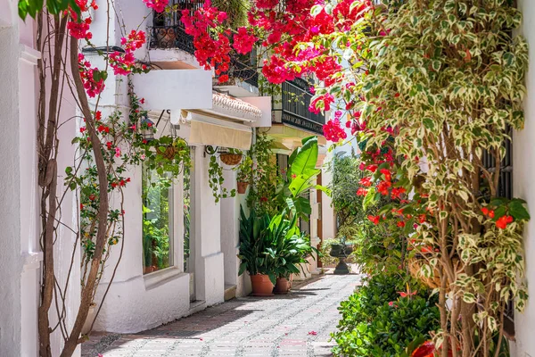 Marbella eski şehir pitoresk ve dar bir sokak, Malaga eyaleti, İspanya.