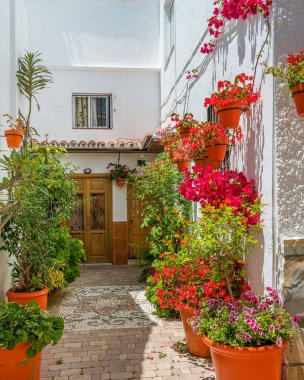 Güzel Estepona, İspanya 'nın Malaga eyaletinde küçük ve çiçekli bir kasaba..