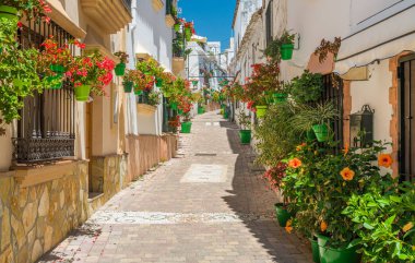 The beautiful Estepona, little and flowery town in the province of Malaga, Spain. clipart