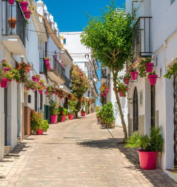 Güzel Estepona, İspanya 'nın Malaga eyaletinde küçük ve çiçekli bir kasaba..