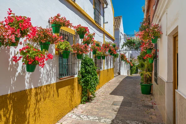 Hermosa Estepona Pequeña Florida Ciudad Provincia Málaga España — Foto de Stock