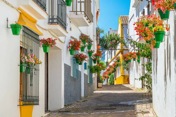Güzel Estepona Spanya Nın Malaga Eyaletinde Küçük Çiçekli Bir Kasaba — Stok fotoğraf