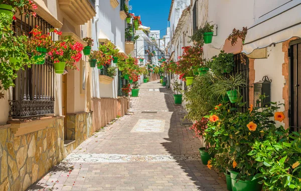 Güzel Estepona, İspanya 'nın Malaga eyaletinde küçük ve çiçekli bir kasaba..