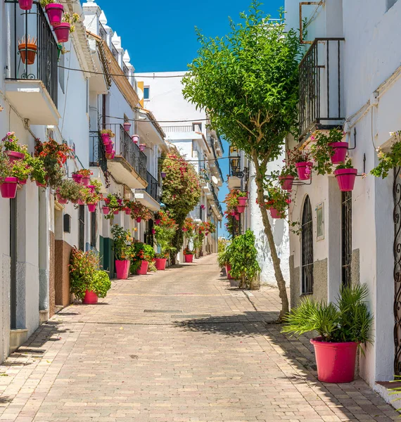 Hermosa Estepona Pequeña Florida Ciudad Provincia Málaga España — Foto de Stock
