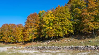 Monte Livata, Simbruini Dağları 'nda sonbahar mevsiminde, Subiaco, Lazio, İtalya yakınlarındaki yeşillikler.