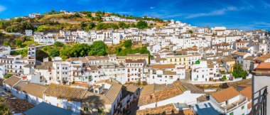 Güneşli bir yaz sabahında Setenil de las Bodegas 'ın güzel köyü. Cadiz, Endülüs, İspanya.