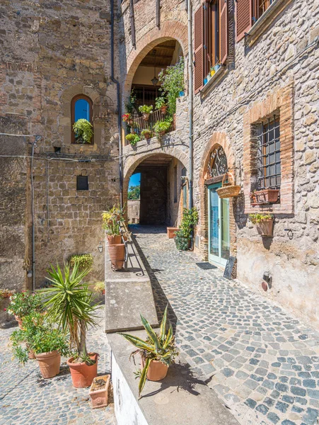 Castelnuovo Porto Small Beautiful Village Province Rome Lazio Italy — Stock Photo, Image