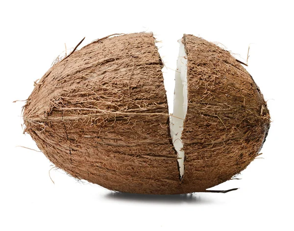 Gehakte Kokosnoot Geïsoleerde Witte Achtergrond Close Goede Detail — Stockfoto