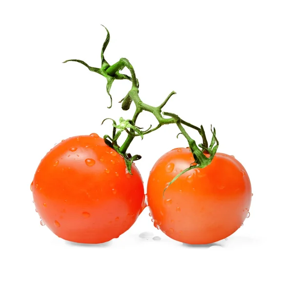 Dois Tomates Vermelhos Ramo Gotas Água Fruta Fundo Isolado Branco — Fotografia de Stock