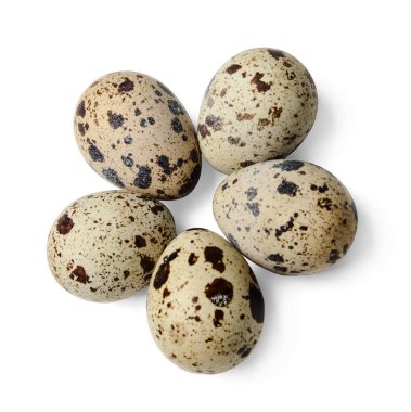 Beyaz izole bir arka plan üzerinde bıldırcın yumurtası birkaç parça. Close. Yukarıdan görüntüle.