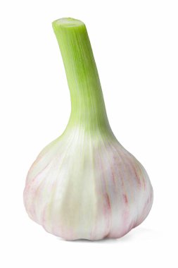 Beyaz izole olgun taze sarımsak Başkanı. Close. Yan görünüm.