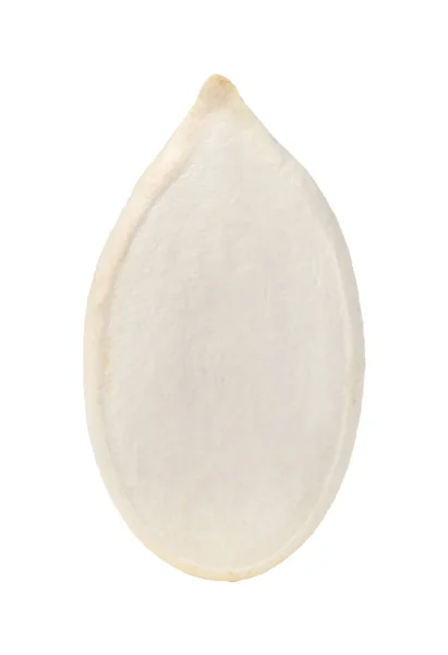 Pumpkin Seed Isolated White Macro Side View — Stock Photo, Image