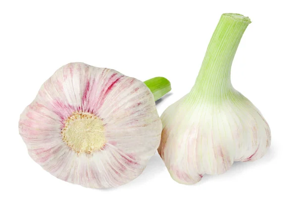 Two heads of early garlic on a white isolated background. Close-up. Side view. Element for design, print or web.