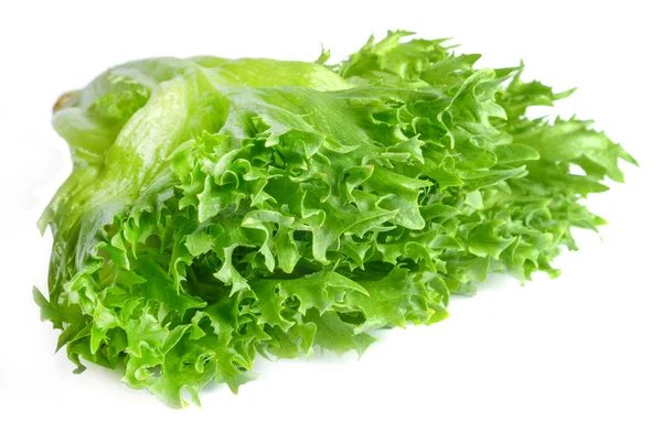 Frillis Sallad Isolerad Vitt Mättade Gröna Färgen Närbild — Stockfoto