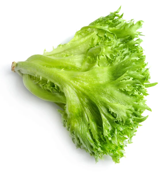 Fırfır salatası beyaz izole. Doymuş yeşil renk. Close. Üstte görüntü.