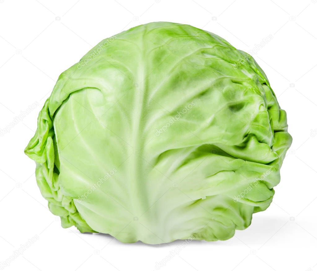 Head of fresh white cabbage isolated on white. Close-up. Side view.