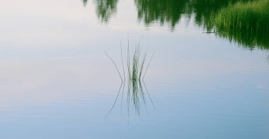 Yaz sabahı nın erken saatlerinde gölde ot filizlendi. Tam sakin. Bir ruh değil..