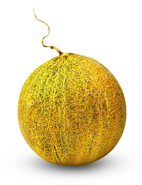 Cały Dojrzały Melon Białym Tle Zbliżenie Widok Boku — Zdjęcie stockowe