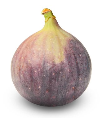 Beyaz bir arka plan üzerinde izole taze olgunlaşmış incir. Yan görünüm. Doğal gerçekçi renk.