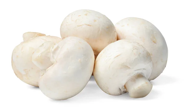 Een Kleine Groep Verse Champignons Een Witte Geïsoleerde Achtergrond Zijaanzicht — Stockfoto