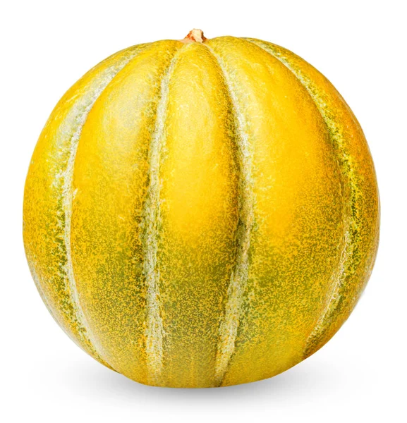 Melon Ethiopian Απομονώθηκε Λευκό Φόντο Λαμπερό Κορεσμένο Χρώμα Και Εξαιρετική — Φωτογραφία Αρχείου