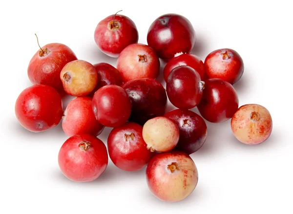 Bunch Fresh Cranberries Isolated White Background Bright Saturated Color Clipping — Stock Photo, Image