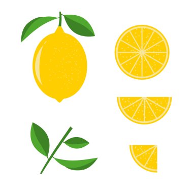 Beyaz arka planda vektör limon seti. Yeşil yapraklı, yarım ve çeyrek limon..