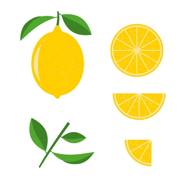 Διάνυσμα λεμονιού σε λευκό φόντο. Ολόκληρο, μισό και τέταρτο λεμόνι με πράσινα φύλλα. — Διανυσματικό Αρχείο