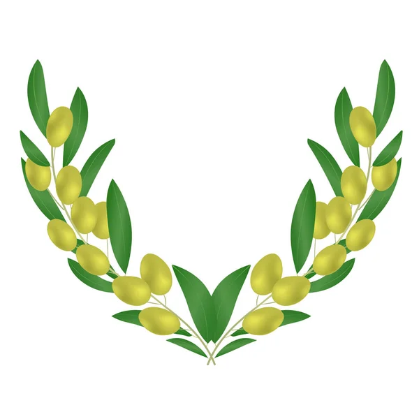 Modello decorativo di rami di olive con foglie su sfondo bianco . — Vettoriale Stock