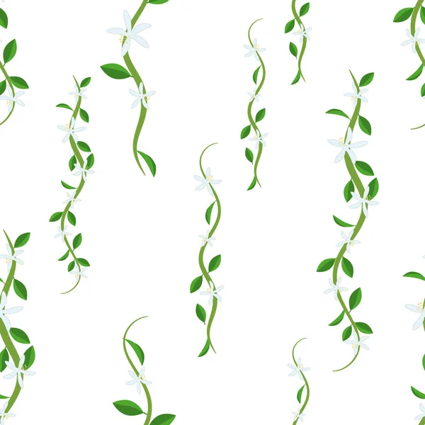 Naadloos patroon van twijgen met groene bladeren op een witte achtergrond. — Stockvector