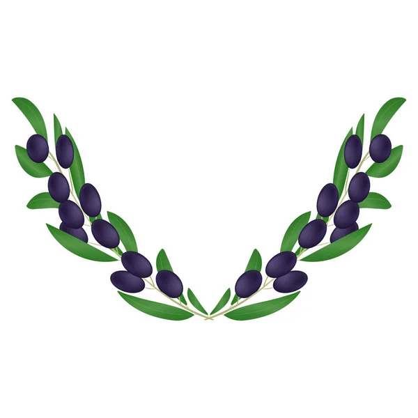Cornice decorativa di motivo di olive nere con foglie su sfondo bianco . — Vettoriale Stock