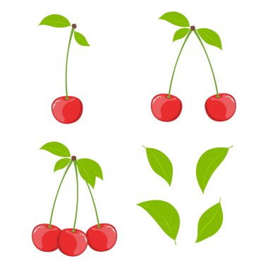 Kiraz takımının vektör çizimi. Bir, iki ve üç dut, beyaz arka planda yapraklar ve işlemler..