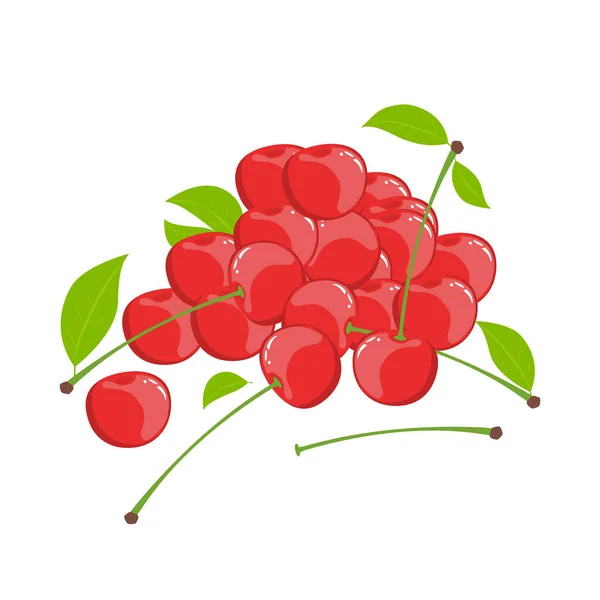 Vector illustration of a bunch of ripe cherries on a white background. Natural, realistic arrangement of berries, leaves and stems. — Stock Vector