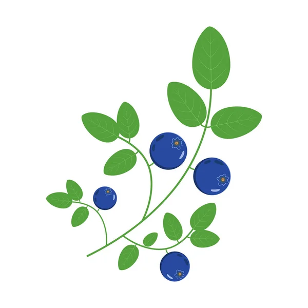 Beyaz arka planda yabanmersini dalının vektör çizimi. Düz tasarım.