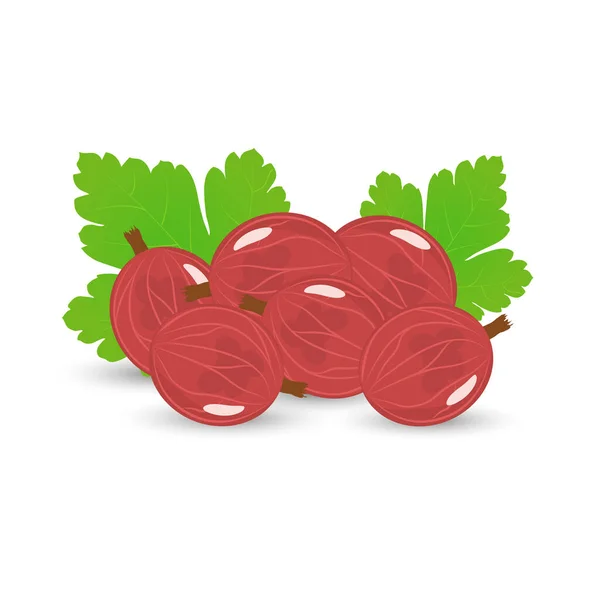 Yapraklı bir grup kırmızı bektaşi üzümünün vektör çizimi. Düz tasarım. — Stok Vektör