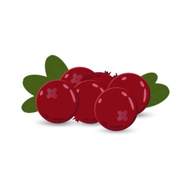 Beyaz arka planda yeşil yapraklı küçük bir yaban mersini sürüsü. Tasarım ögesi.