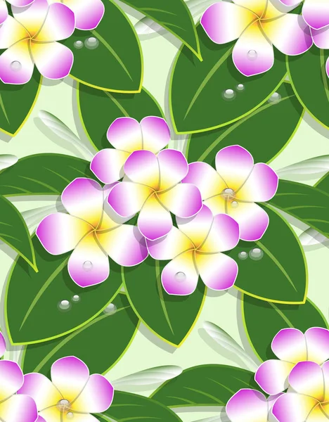 Růžový Plumeria Květinový Vzor Bezešvé Zeleném Pozadí — Stockový vektor