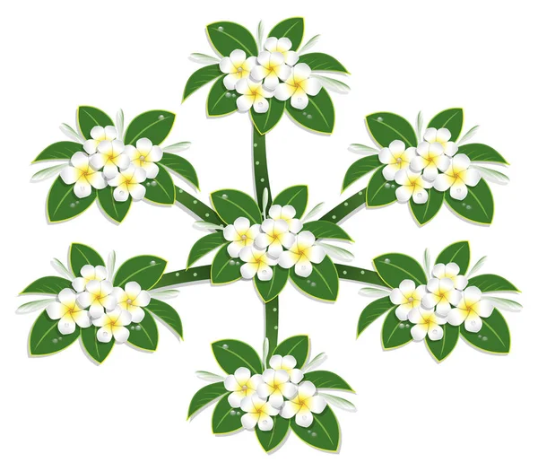 Yelow Plumeria Kwiat Drzewa Widok Góry Narysować Wektor Białym Tle — Wektor stockowy