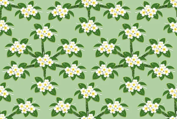 Motif Fleurs Plumeria Jaune Sans Couture Sur Fond Vert — Image vectorielle