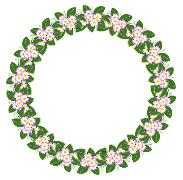 Cadre Fleur Plumeria Rose Cercle Couronne Laurier Floral — Image vectorielle