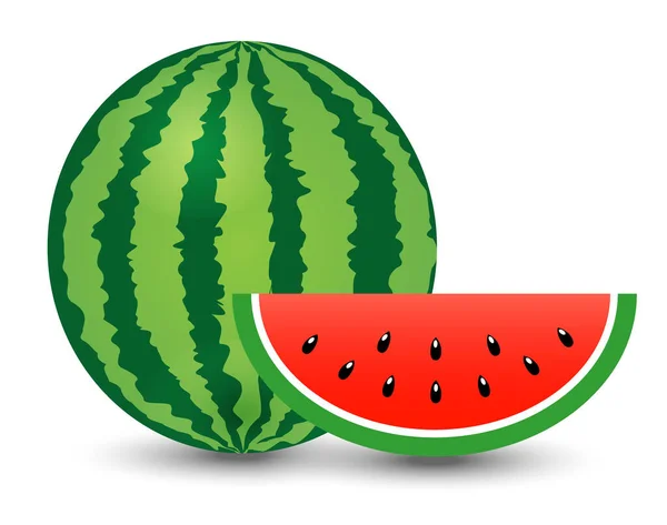 Wassermelone Und Stück Auf Weißem Hintergrund Illustration Vektor — Stockvektor