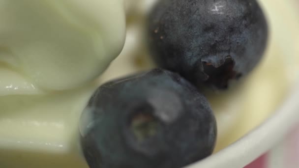 Blueberry Closeup Yogurt — Stock Video