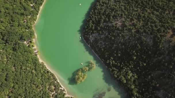 Luchtfoto van een meer met catamarans rond bomen — Stockvideo