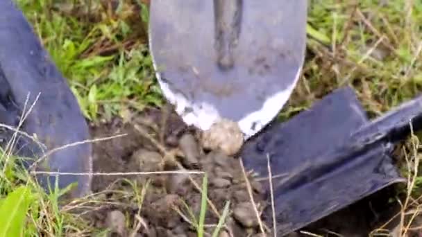 Cadet soldaten graven een gat met stenen voor een anti-tank mijn — Stockvideo